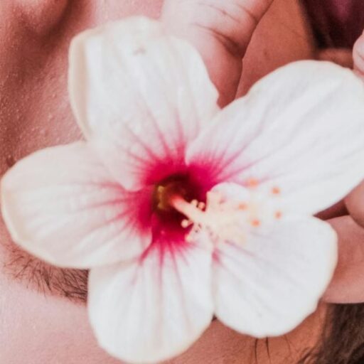 Sofortiges Formular-Website-Logo